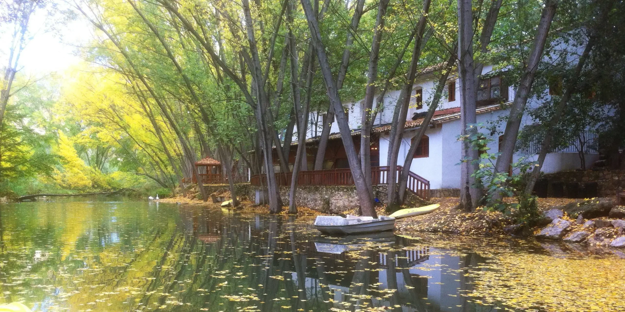 Finca El Molino - ambiente natural